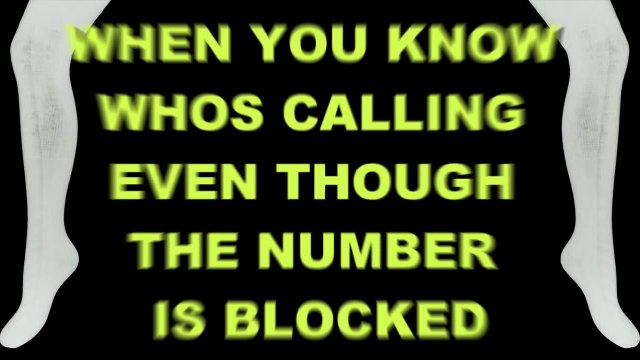 Arctic Monkeys - Knee Socks [Lyrics]