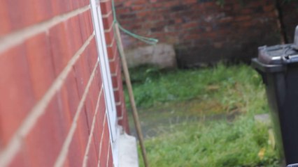 Shadow has a few words.