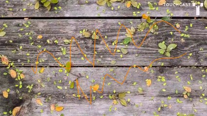 Test / Dailymotion 3