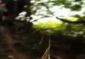 Man Falls 15 Feet After Breaking Rope Swing