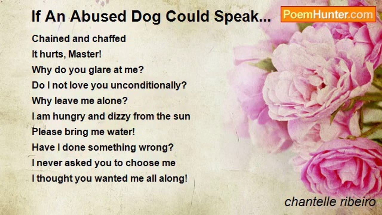 chantelle ribeiro - If An Abused Dog Could Speak...