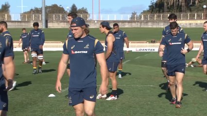 Il 4 Nazioni parte col botto: Australia-Nuova Zelanda