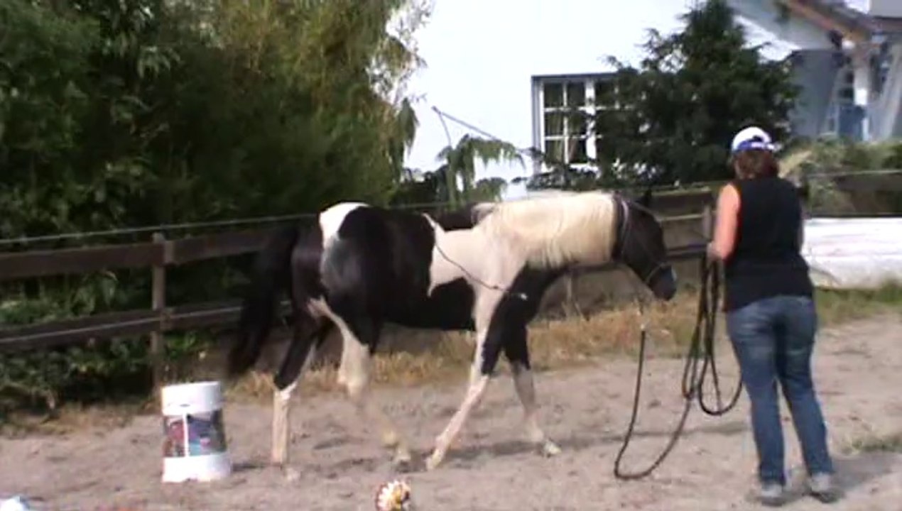 09-08-2014 carriere (2)