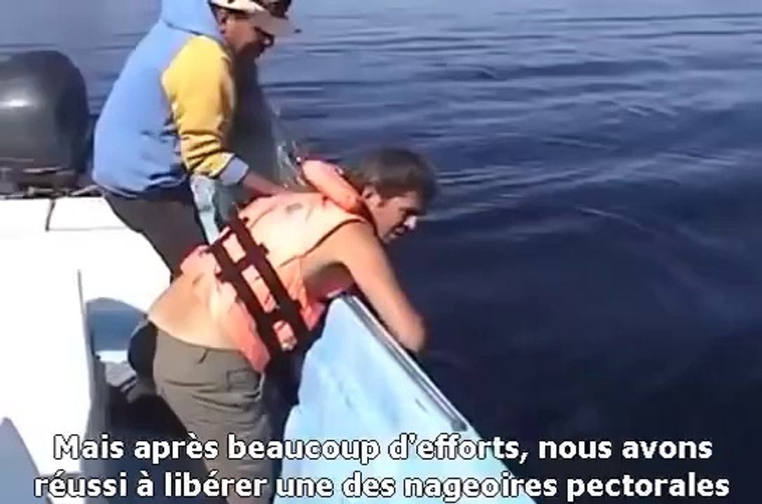 un homme découvre une baleine et alors qu’il s’approche d’elle, il va faire une découverte choquante