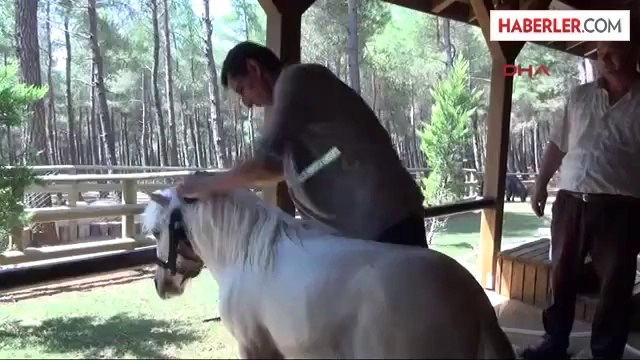 Midilli Çiftliğinde Çifte Tay Sevinci