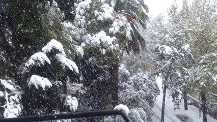 jerusalem snow 314