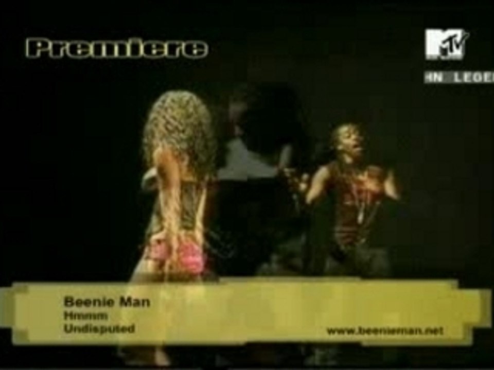 Beenie man - Hmm.Hmm - 2006