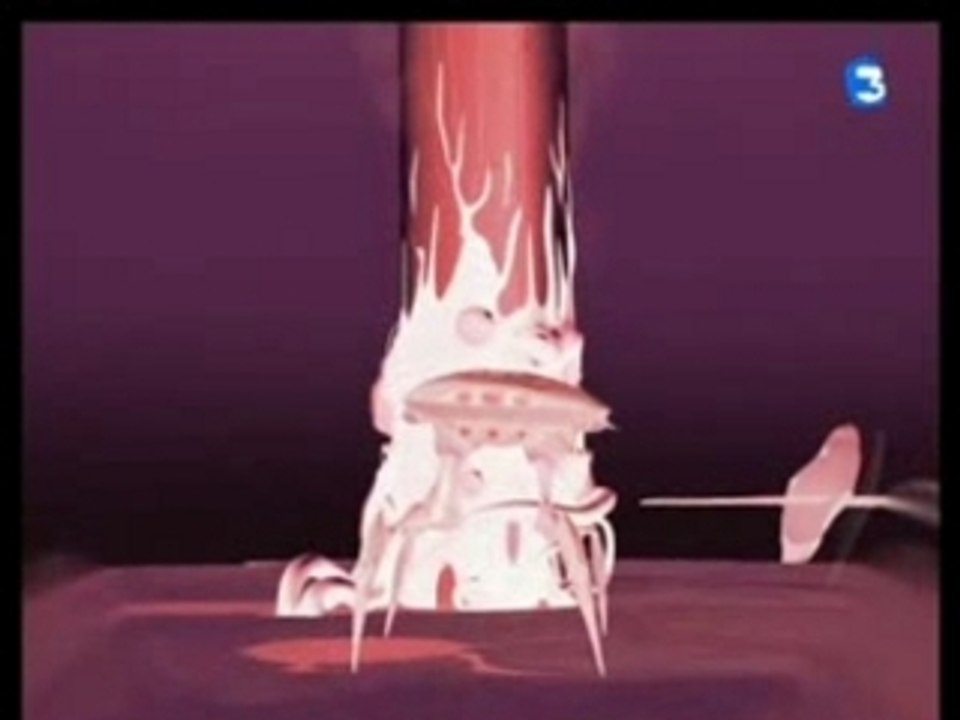 Subdigitals - Rodéo (Code Lyoko Fanmade Clip)