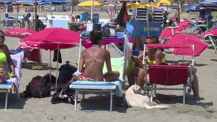 Sur le littoral romain, une plage qui a du chien