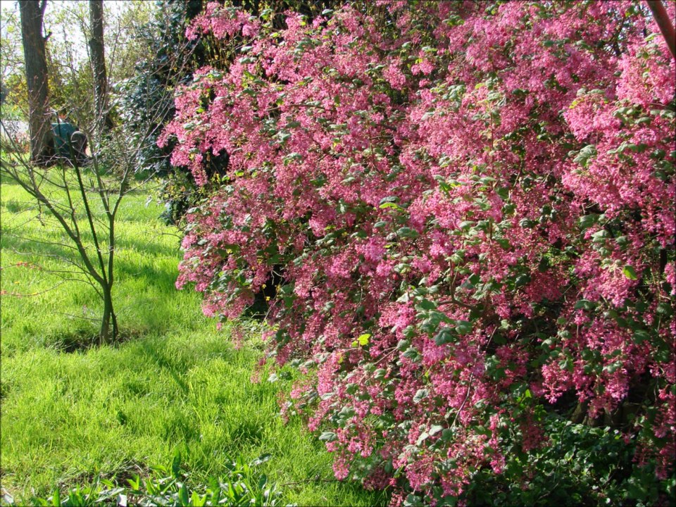 LE JARDIN DES SAISONS
