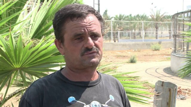 حتى الحيوانات لم تسلم من قساوة الحرب