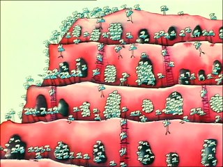 Slovanské tance č. 7, op. 46